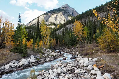 NATUREZA jigsaw puzzle