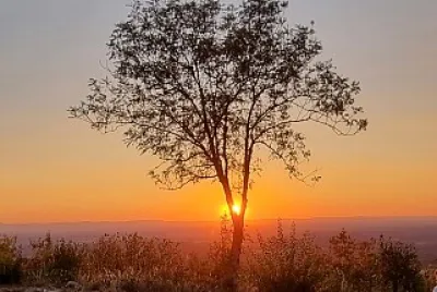 Coucher de soleil jigsaw puzzle