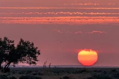 atardecer jigsaw puzzle