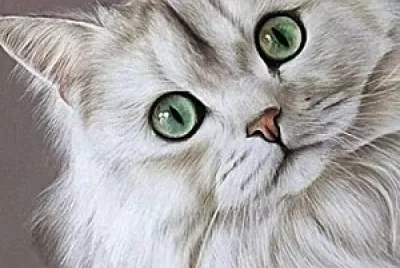 Gatito jigsaw puzzle