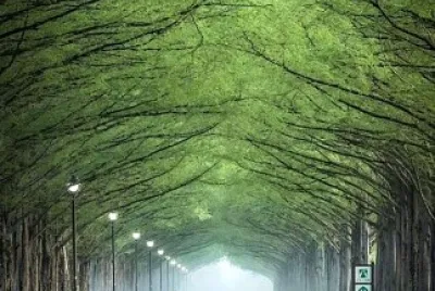 paysage jigsaw puzzle