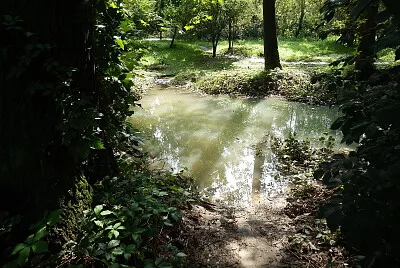 invasione dell 'acqua