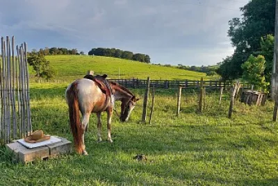 פאזל של Égua Cristal