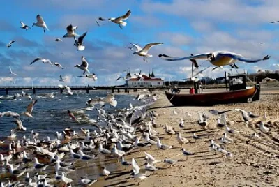 Am Strand in Seebad Ahlbeck jigsaw puzzle
