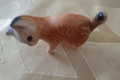 פאזל של cat