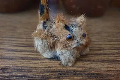 פאזל של kitten