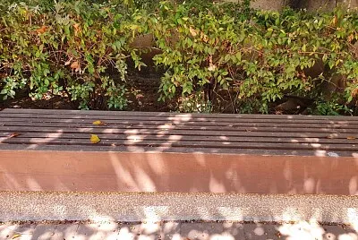 bench