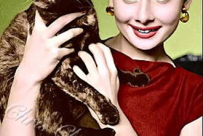 Audrey Hepburn jigsaw puzzle