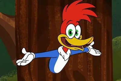 pajaro loco