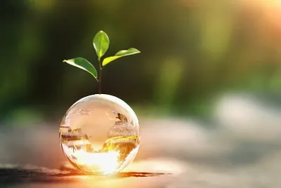 Glass Orb Plant jigsaw puzzle