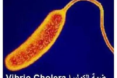 Bio