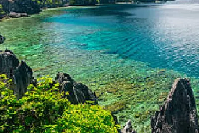 Nature jigsaw puzzle