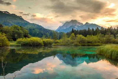 Nature