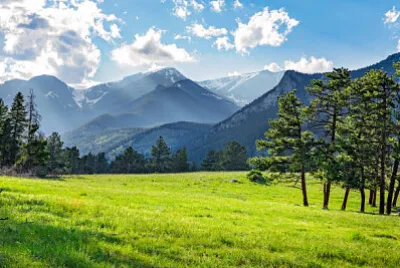 Nature jigsaw puzzle