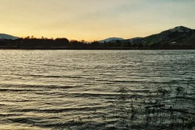 Fleuve jigsaw puzzle