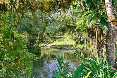 Nature