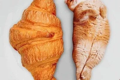 Croissant Cat jigsaw puzzle