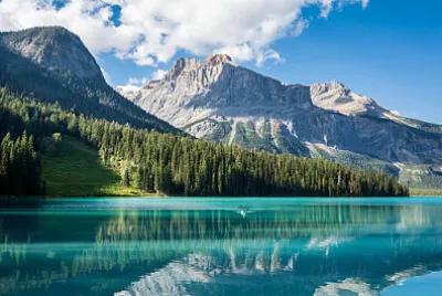 Nature jigsaw puzzle