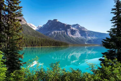 Nature jigsaw puzzle