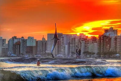 imagem