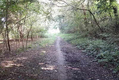 la luce in fondo altunnel