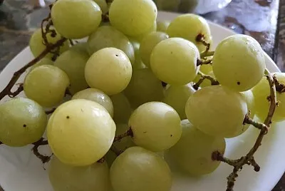 green grapes