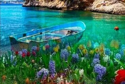 Naturaleza jigsaw puzzle