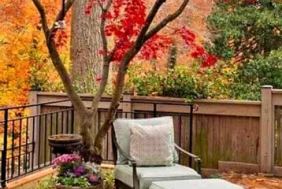 terraza jigsaw puzzle