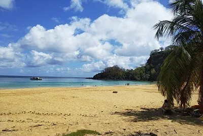 NORONHA jigsaw puzzle