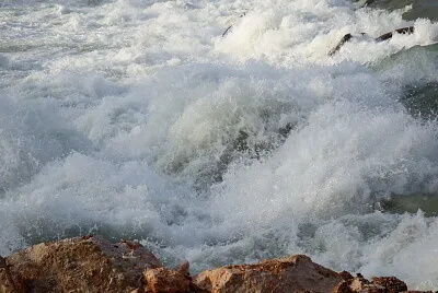 la schiuma