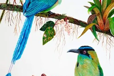 foto jigsaw puzzle