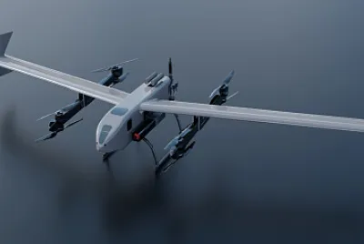 Toy