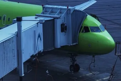 Toy