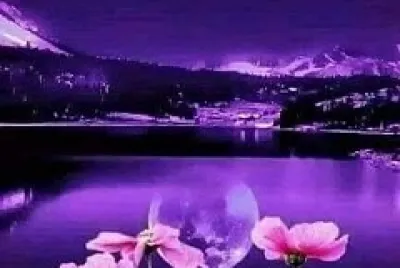 פאזל של luna lila