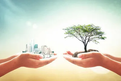 Ações antrópicas