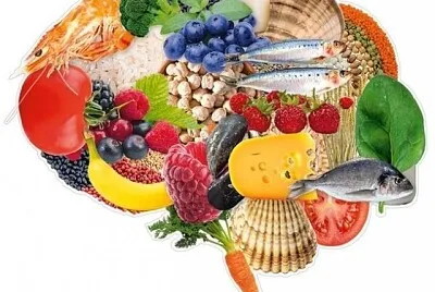 Alimentos Bons para o cerebro