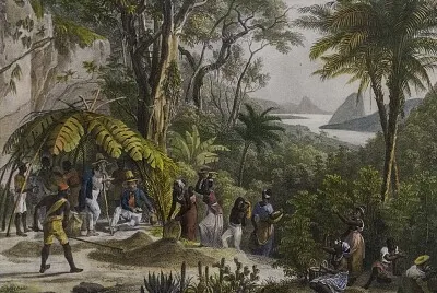 Colheita de Café