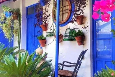 Patio de descanso