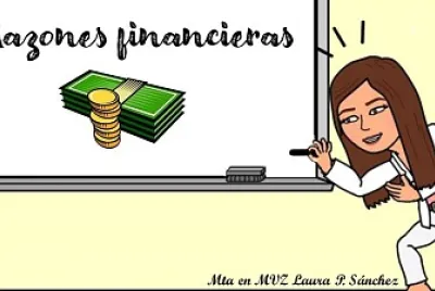 Rompecabezas interactivo