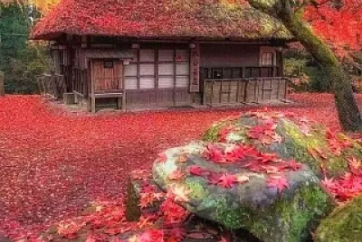 fachada jigsaw puzzle