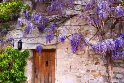 fachada jigsaw puzzle