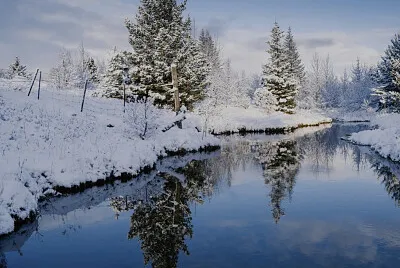 El invierno jigsaw puzzle