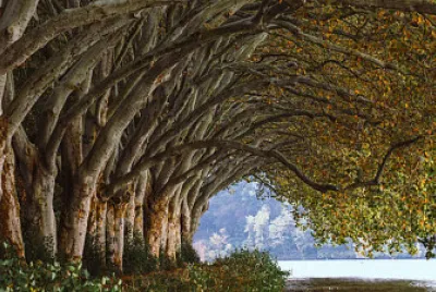 13 jigsaw puzzle