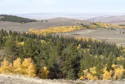Fall on Muddy Mountain