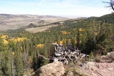 Fall on Muddy Mountain jigsaw puzzle