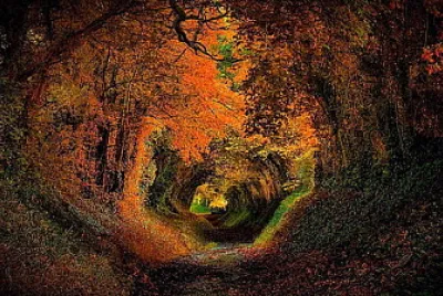 Tunel