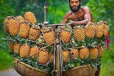 frutas