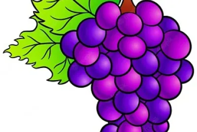 ES UNA FRUTA EN RACIMOS