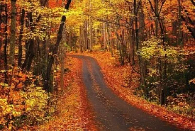 Camino jigsaw puzzle