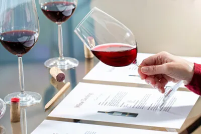 Toy